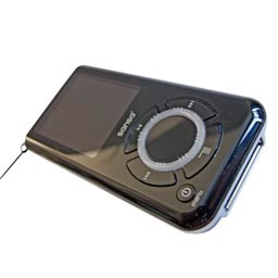 Sandisk Sansa E250 2 gig MP3 Player